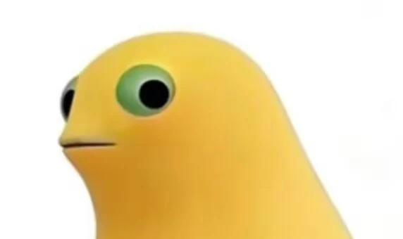 侧头观察的奶蛙